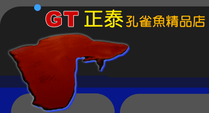 ̨��Ŀ�ȸ������